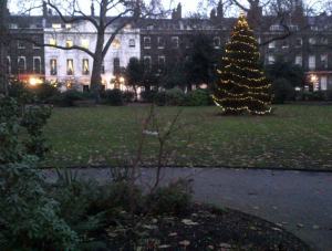 Bedford Square Christmas Tree with white lights